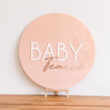 Load image into Gallery viewer, Acrylic Double Name Plaque